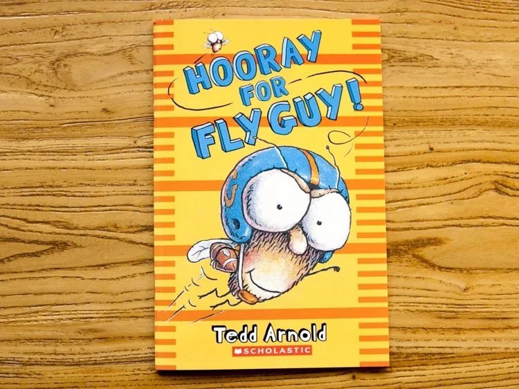 图片[6]-苍蝇小子Fly Guy资料：全套15本绘本PDF 讲解视频 音频点读包+中文翻译 网盘资源-油桃圈